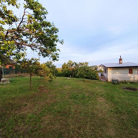 Вілла Wine House Зноймо Екстер'єр фото
